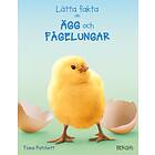 Lätta Fakta Om Ägg Och Fågelungar