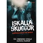 Iskalla Skuggor Skräckhistorier För Orädda