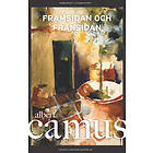 Framsidan Och Frånsidan