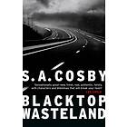 Blacktop Wasteland