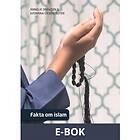 Fakta om islam (E-bok)