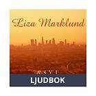 Asyl, Ljudbok