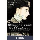 Historiska Media Skuggor runt Wallenberg (E-bok)