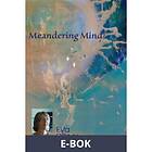 Divine Design Meandering Mind (E-bok)