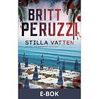 Stilla vatten (E-bok)