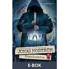 Kameleonten (E-bok)