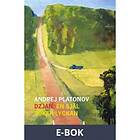 Ersatz Dzjan (E-bok)
