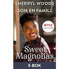 HarperCollins Nordic Som en familj (E-bok)