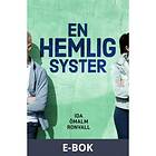 En hemlig syster, ((E-bok))