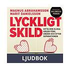 Lyckligt skild : Hitta den kloka vägen före, under och efter