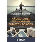 Några rader till Svartåns finaste krokodil (E-bok)