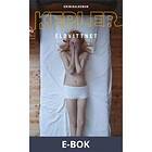 Eldvittnet (E-bok)