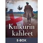 Kulkurin kahleet (E-bok)