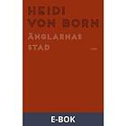 Änglarnas stad (E-bok)