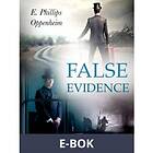 False Evidence (E-bok)