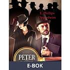 Peter Ruff (E-bok)