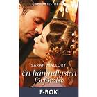 En hämndlysten förförelse (E-bok)
