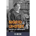 Skärvan av trollspegeln (E-bok)