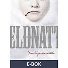 Modernista Eldnatt (E-bok)