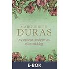 Monsieur Andesmas eftermiddag (E-bok)