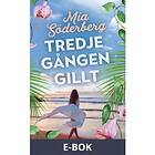 Tredje gången gillt (E-bok)