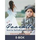 Vaaralla kuvia laitakaupungilta (E-bok)