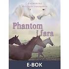 Phantom i fara (E-bok)