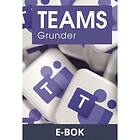 Docendo Teams Grunder (E-bok)