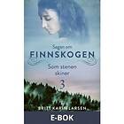 Som stenen skiner (E-bok)