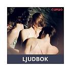 Cupido Fantasia-perjantai, Ljudbok