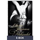 Xstory Dans med en främling, (E-bok)