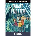 Alfabeta Något i natten : Trio trubbel, (E-bok)