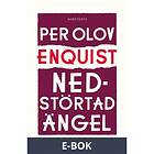 Nedstörtad ängel, (E-bok)