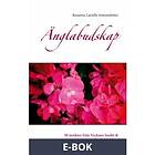 Änglabudskap: 30 insikter från Veckans Insikt & Änglab