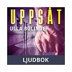 Uppsåt, Ljudbok