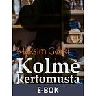 Kolme kertomusta, (E-bok)