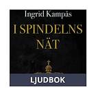 I spindelns nät, Ljudbok