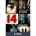 14 (E-bok)