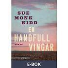 En handfull vingar (E-bok)