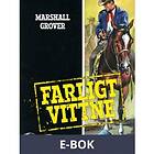 Farligt vittne (E-bok)