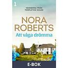 Att våga drömma (E-bok)