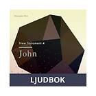 The New Testament 4 John, Ljudbok