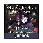 Vakaa tinasotamies, Ljudbok