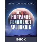 Det hoppande fenomenet Splunknig, (E-bok)