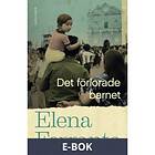 Det förlorade barnet (E-bok)