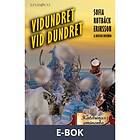 Vidundret vid Dundret, (E-bok)