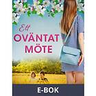 Ett oväntat möte, (E-bok)