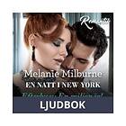 En natt i New York, Ljudbok