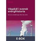 Vägskäl i svensk energihistoria: Den ena omställningen