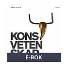 Konstvetenskap en introduktion (E-bok)